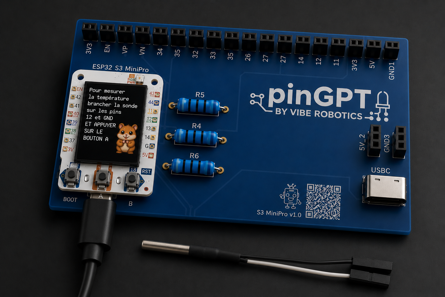 The pinGPT board